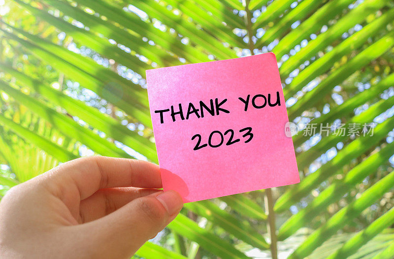 “THANK YOU 2024”字样写在粉色纸上，背景自然
